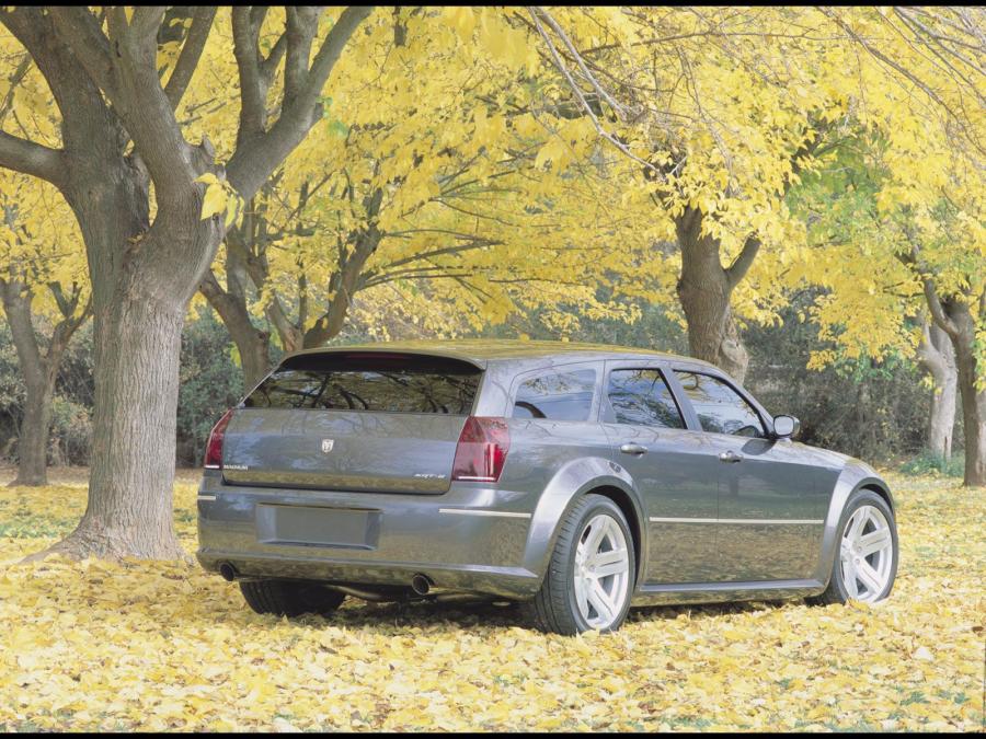  Dodge SRT8 Concept 2003 года  (фото 10 из 13)